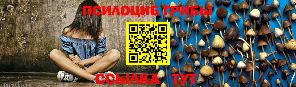 Калуга  Псилоцибиновые грибы Psilocybine cubensis  хочу наркоту  Псилоцибиновые грибы прущие грибы  Вход с VPN 